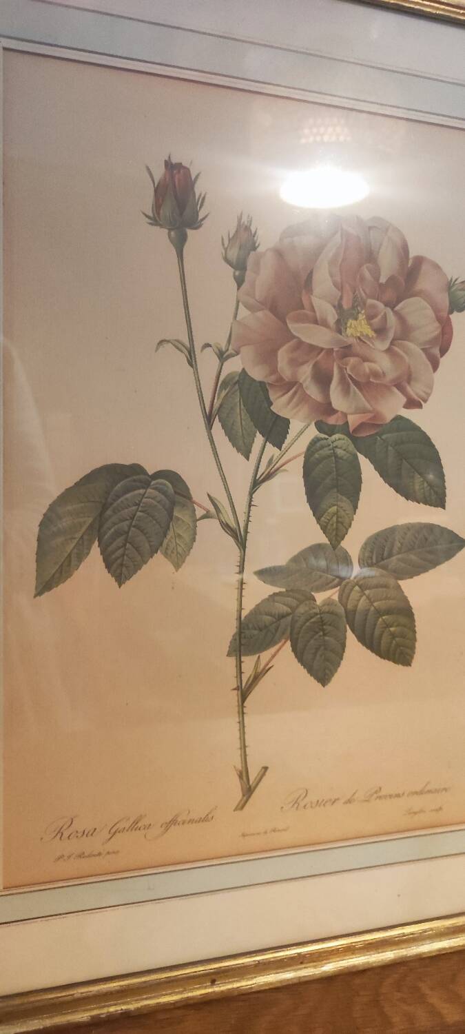 Redouté executive trio