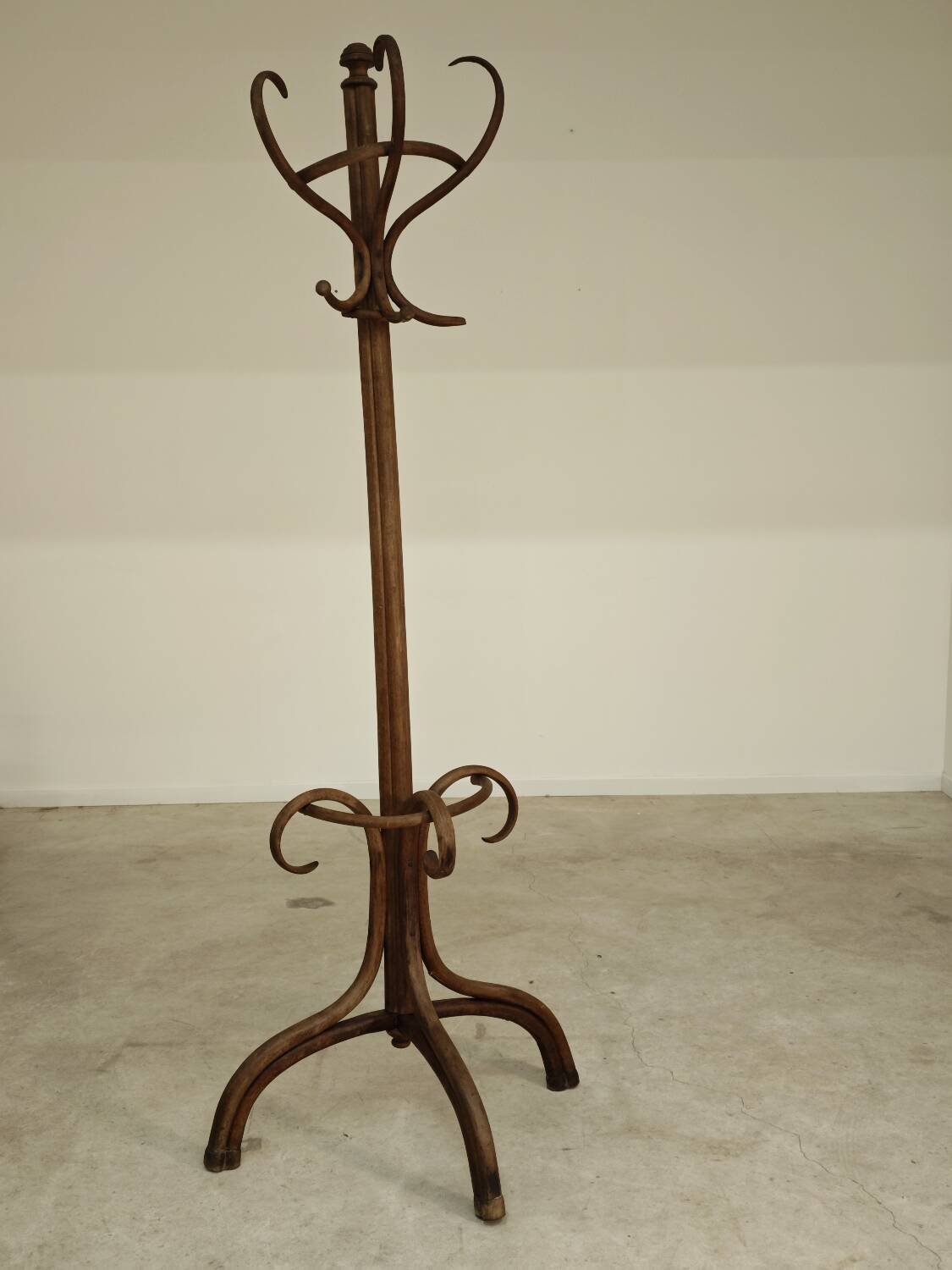Thonet No. 1 Parrot Coat Rack on Wall, 1900s