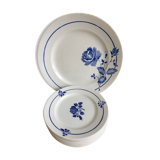 Lot 10 plates and flat