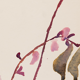 Watercolor illustration flowers