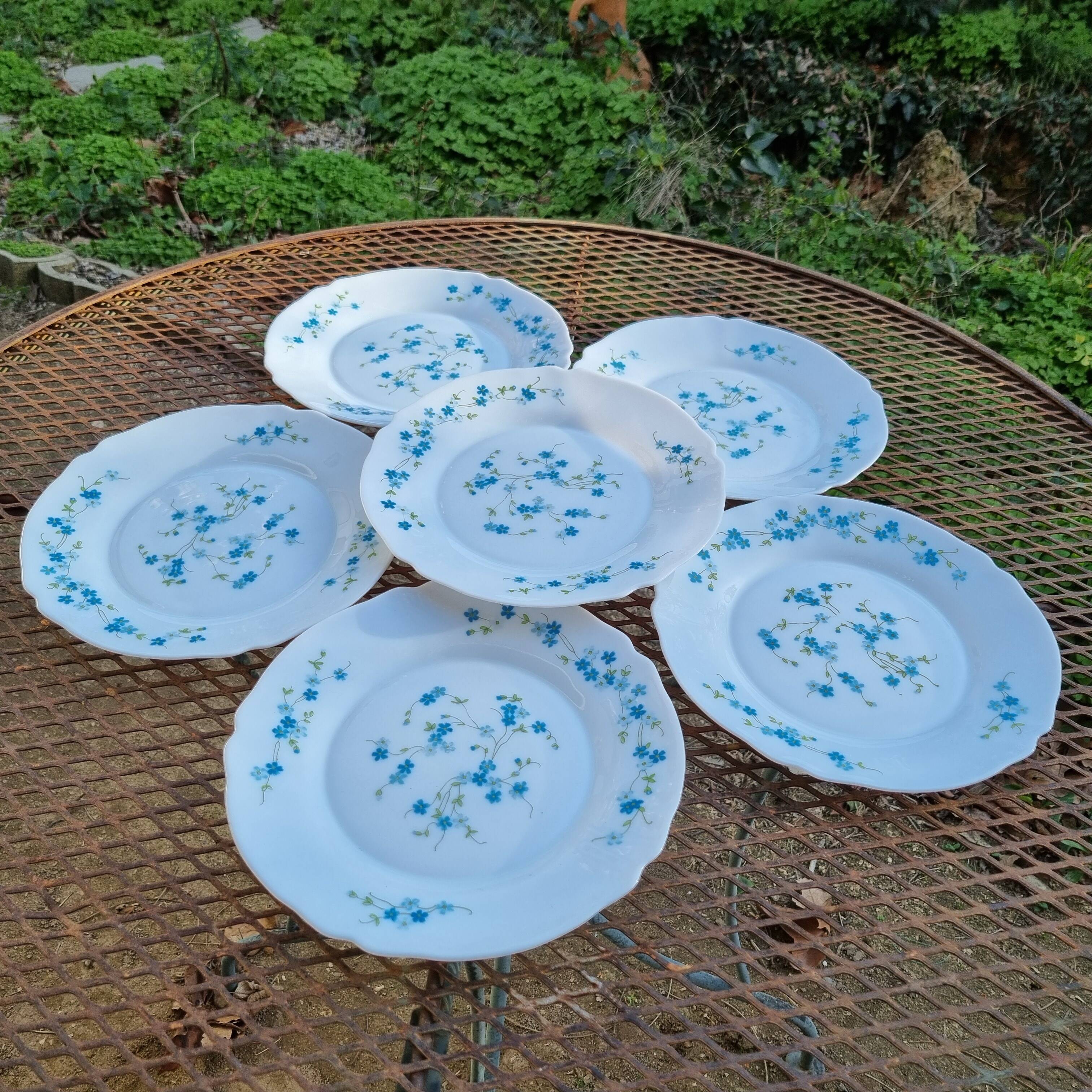 Assiette Plate Arcopal Veronica - Décor Myosotis - Blanc - Occasion Très Bon état