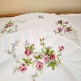 Flat plates in Limoges porcelain by Haviland