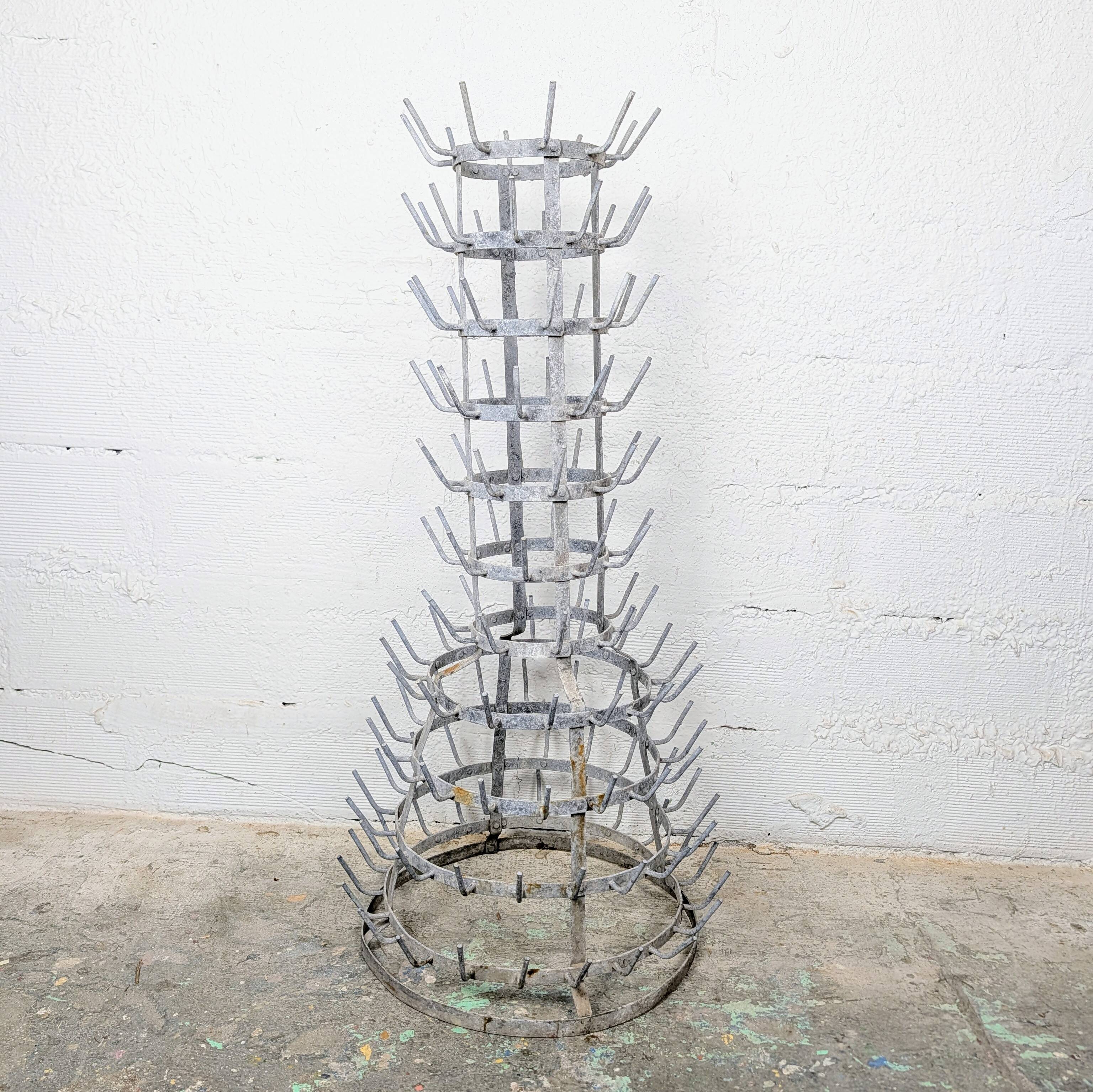 Hedgehog or bottle tree