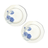 Pair of plates Saint-Amand 1930