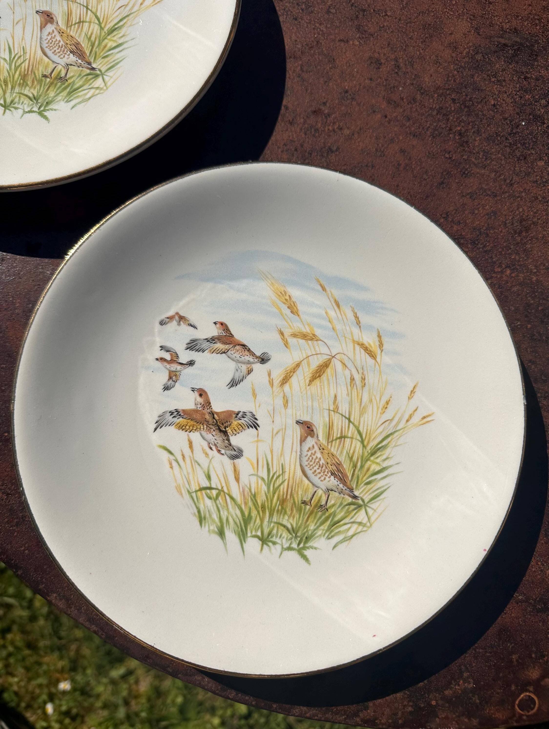 Set of 5 flat plates in Gien earthenware, Primefleur collection.