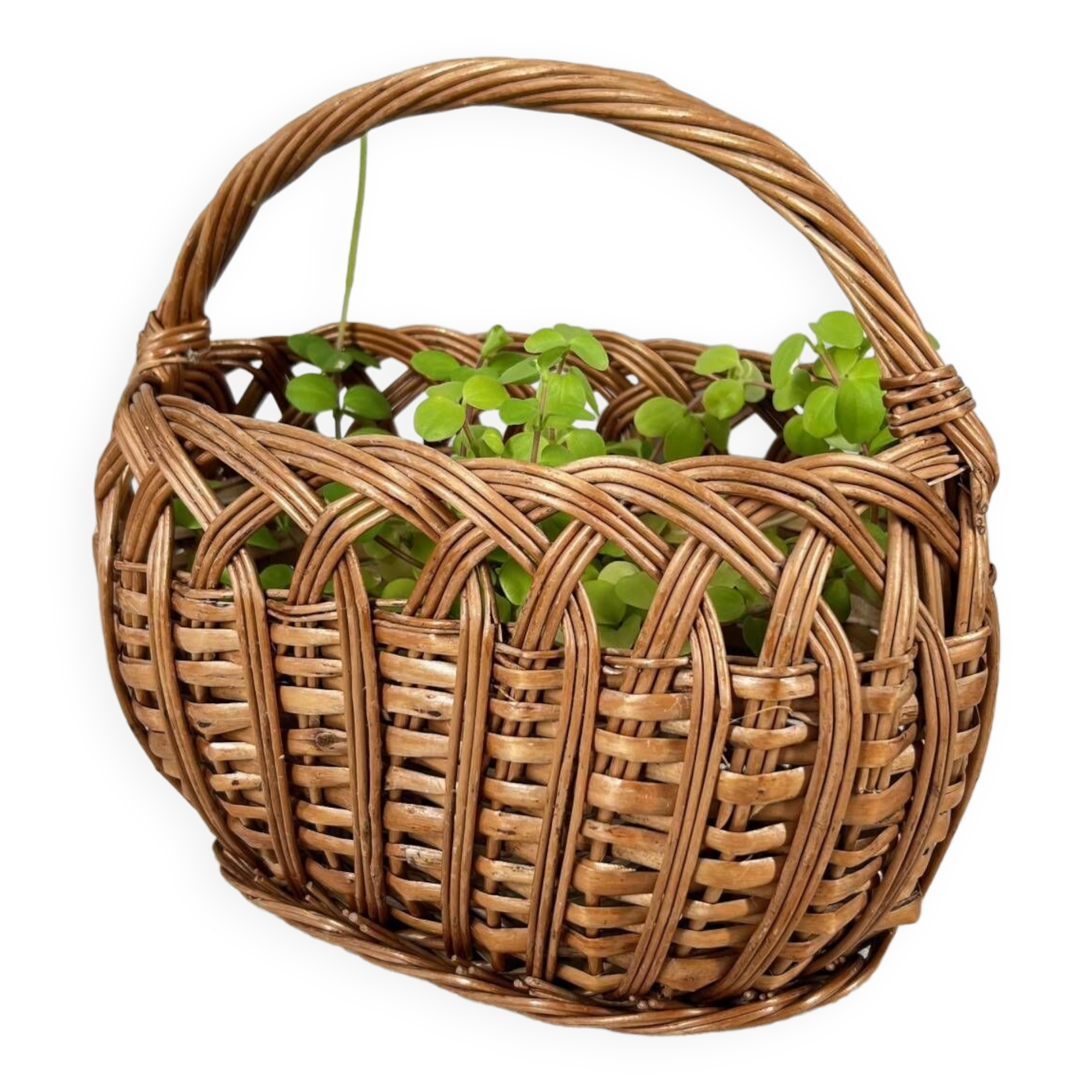 Small oval woven wicker basket