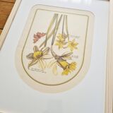 Trio of Frames, Botanical illustration, 30X40cm