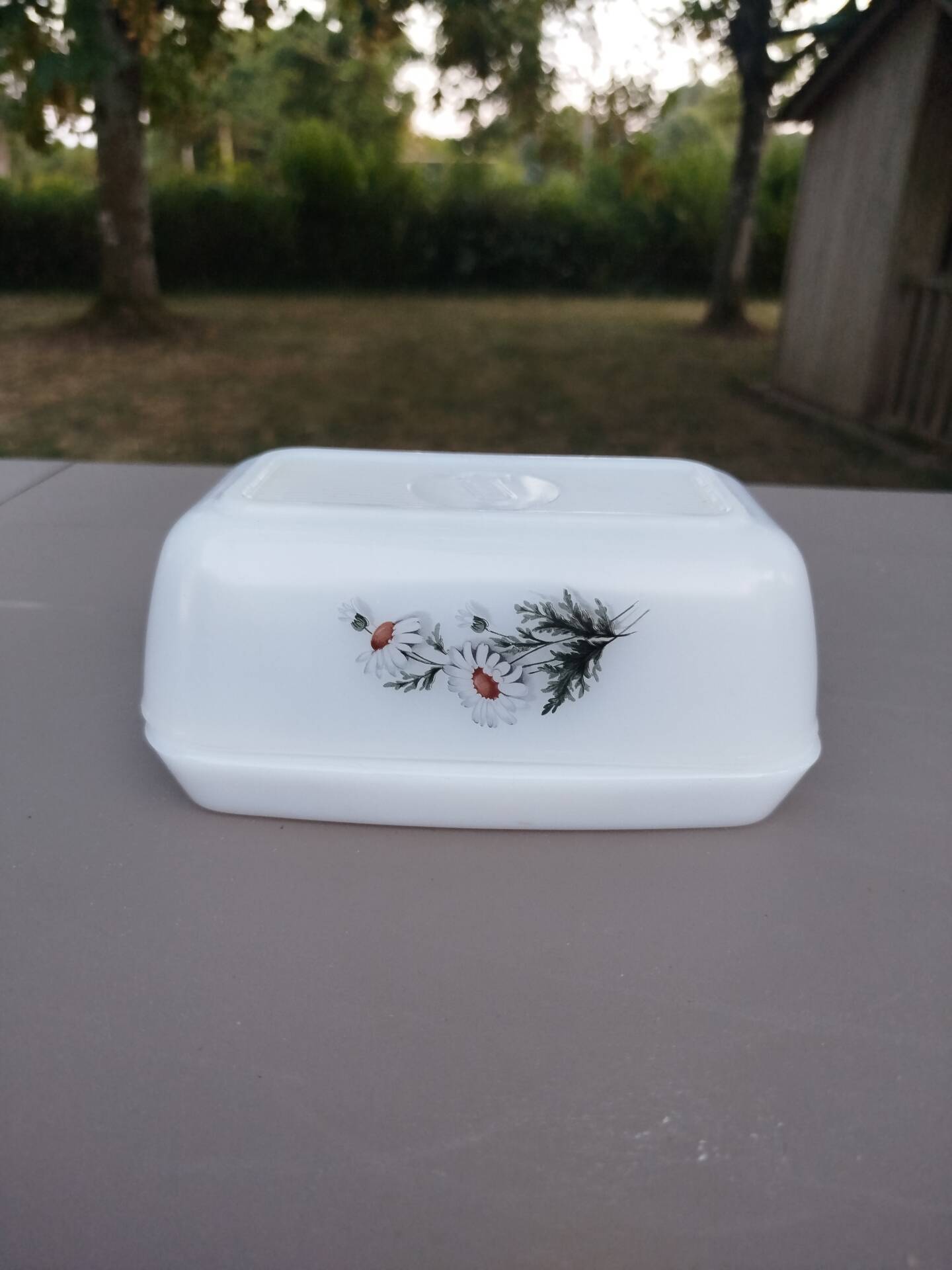 Vintage Arcopal butter dish