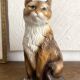 Large ceramic cat, Italy, 1970s