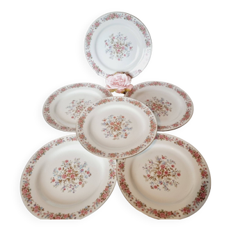 6 Large Plates Floral Detion Vintage Pink Tones