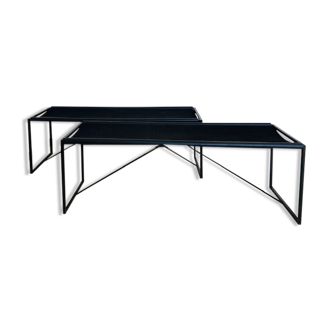 Pair of benches by Maurizio Peregalli for Zeus