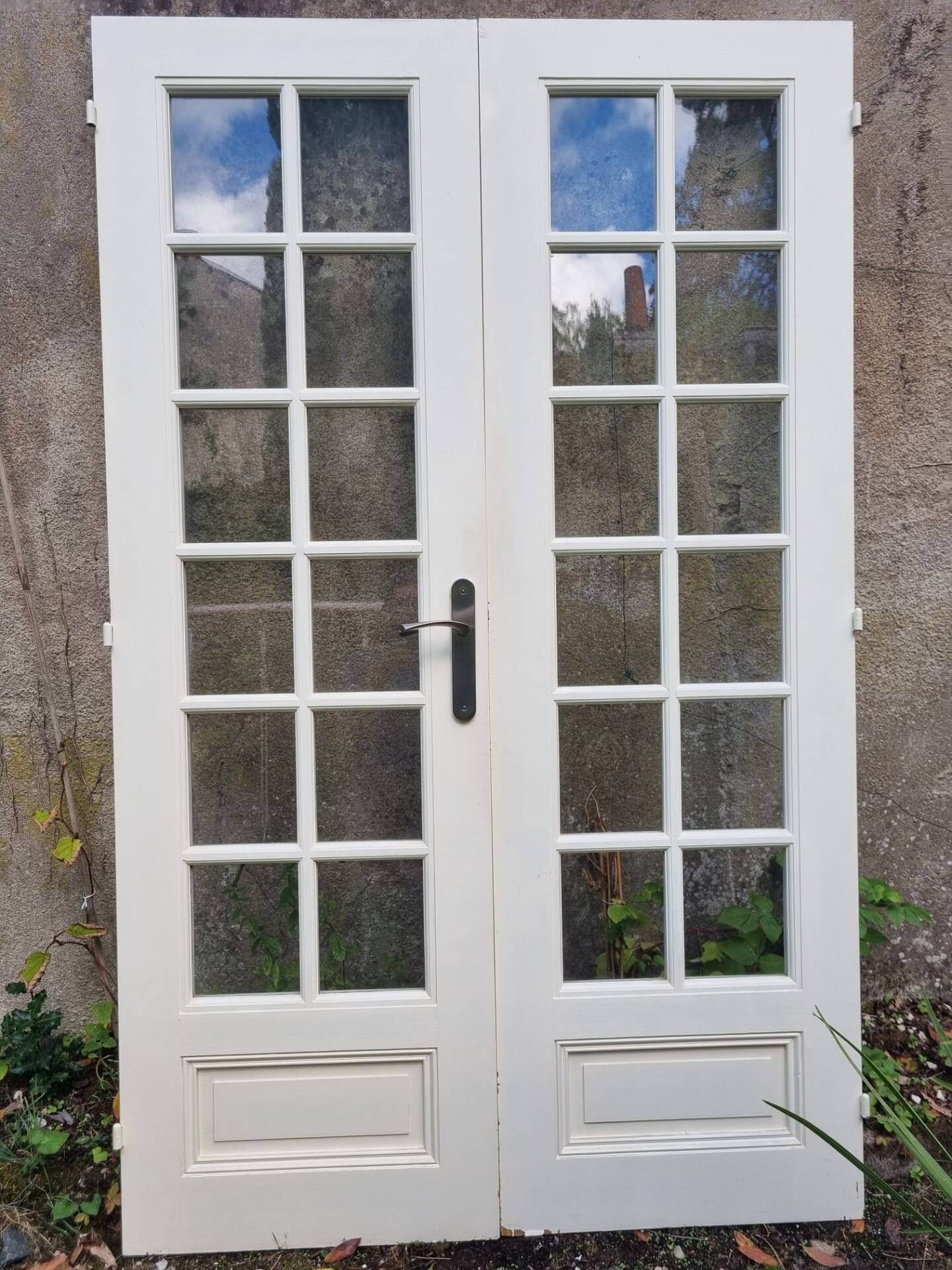 Double old doors