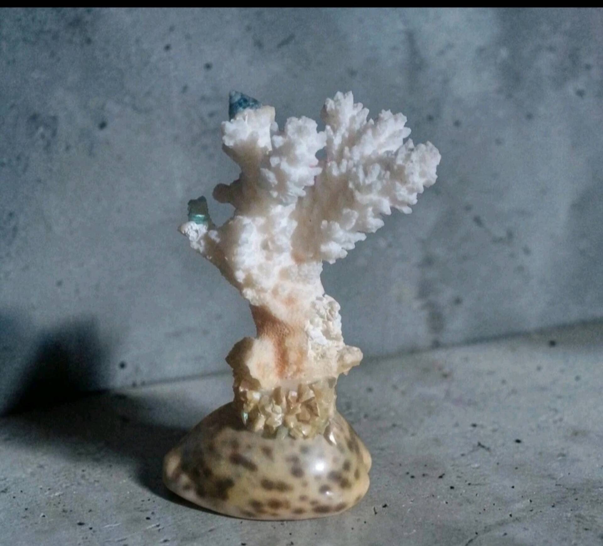 Retro coral and shell trinket