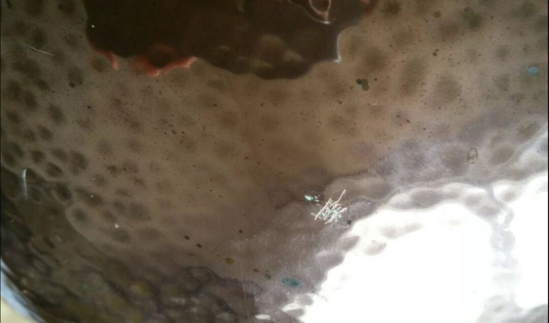 Copper lions head hide-and-seek