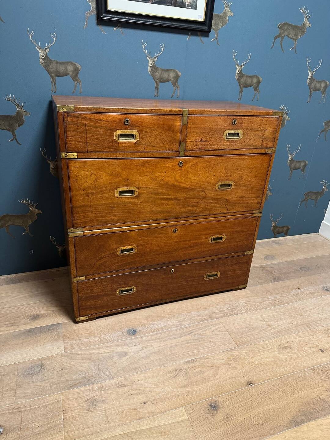 Antique military campaign chest