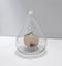 Murano Glass Vase with Pulegoso Glass Fruit Ascribable to Napoleone Martinu