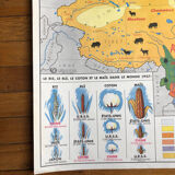 Old school map - Agriculture and livestock China/USSR