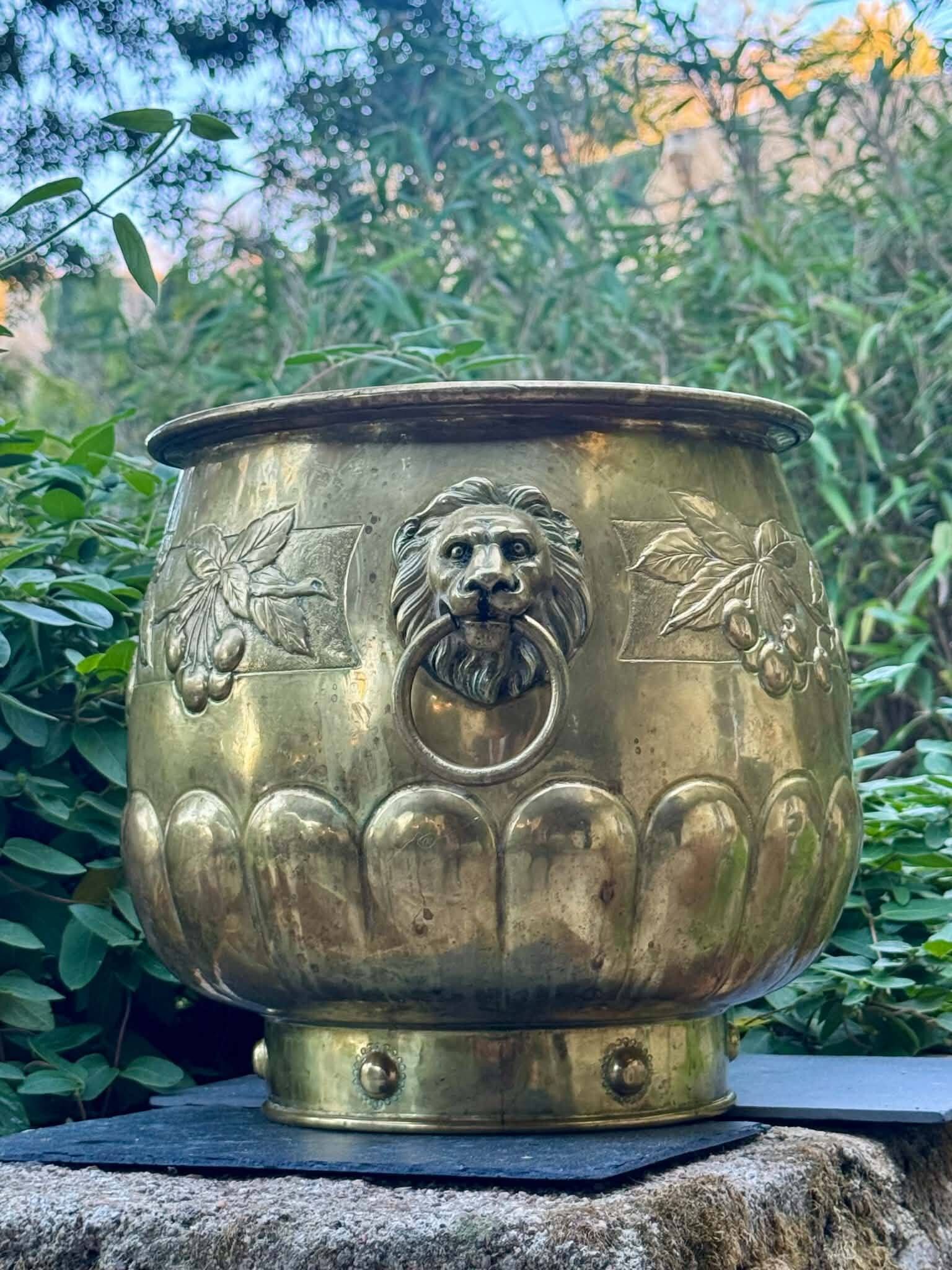 Large brass lion planter with a hallmark from the 19th century.