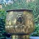 Large brass lion planter with a hallmark from the 19th century.