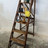 Old stepladder restored