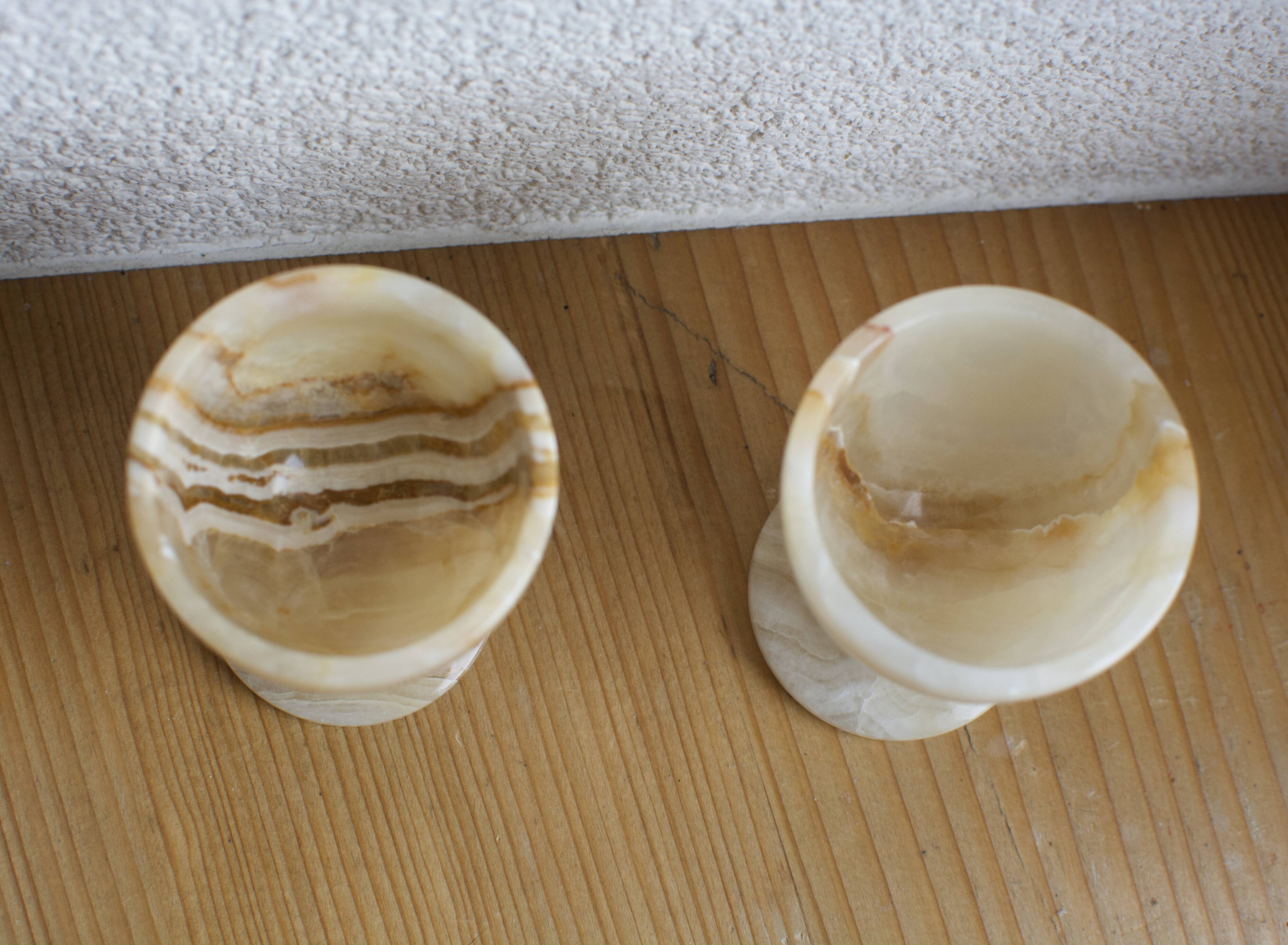 Duo of marble cockroaches