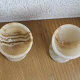 Duo of marble cockroaches