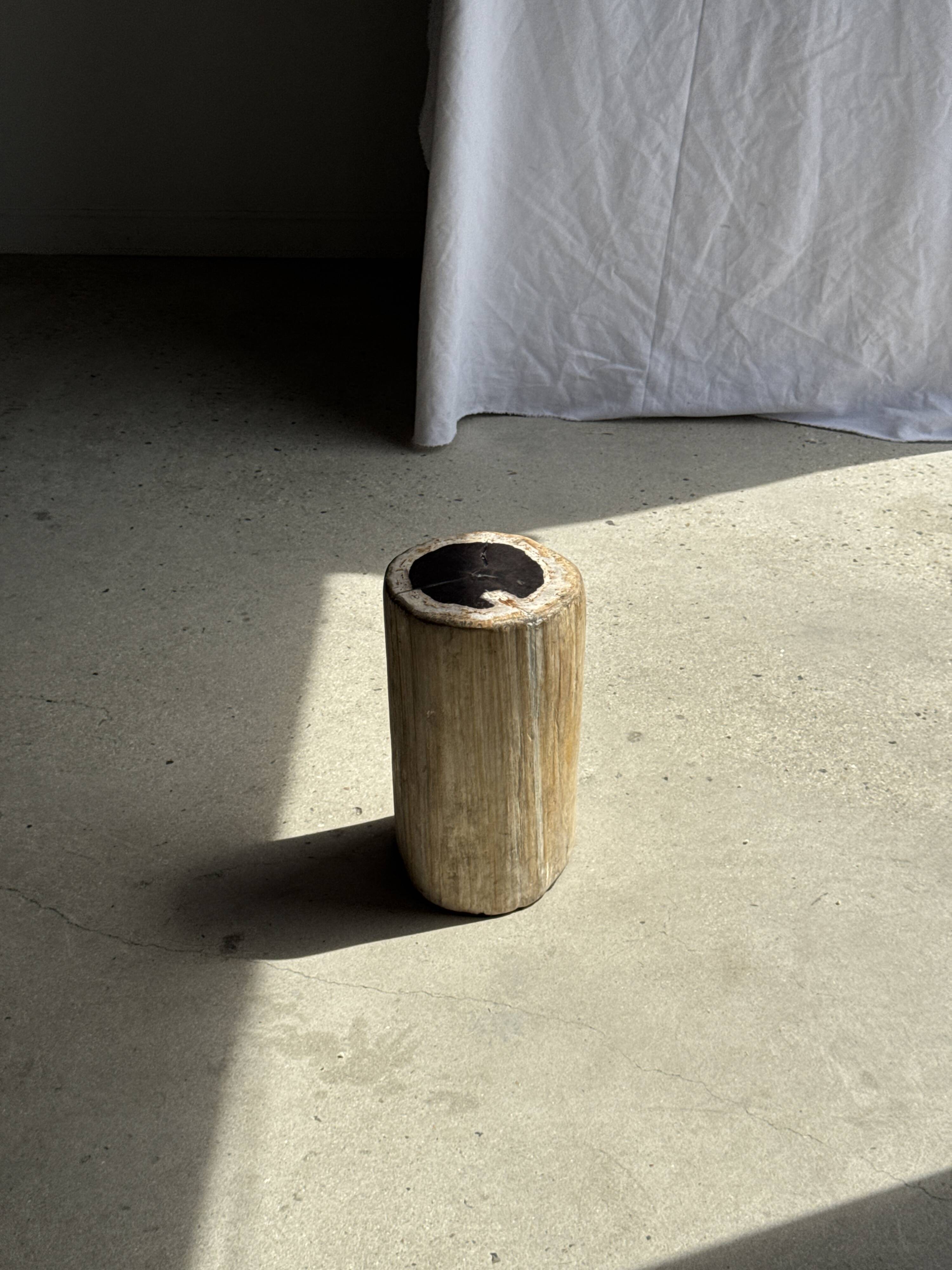 Table d'appoint en bois pétrifié, écorce blanche