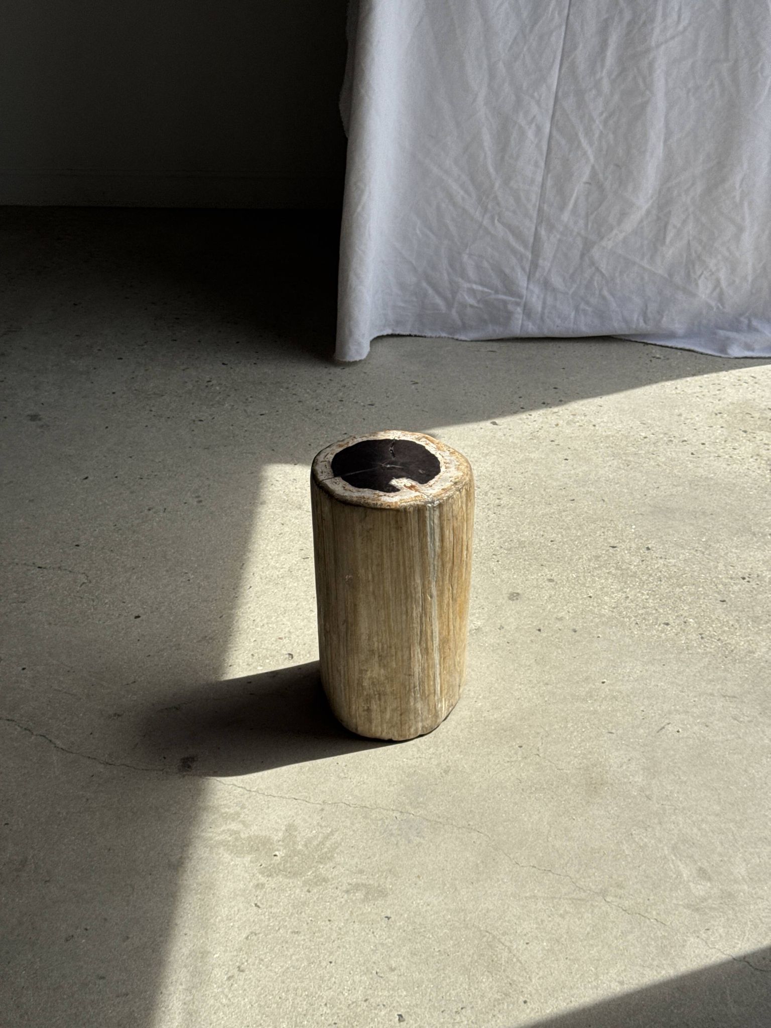 Petrified wood side table, white bark