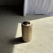 Petrified wood side table, white bark