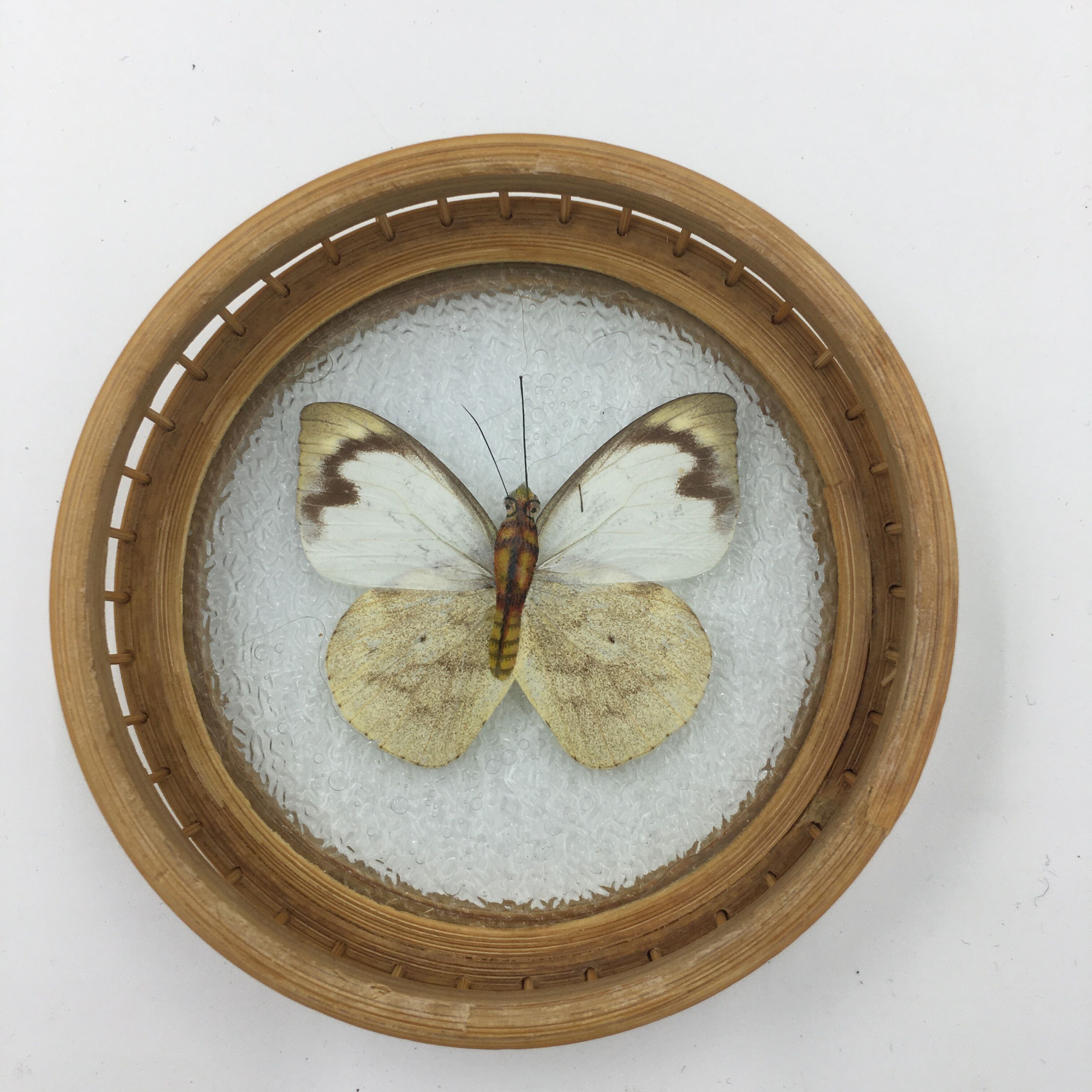 Wicker and butterflies coasters