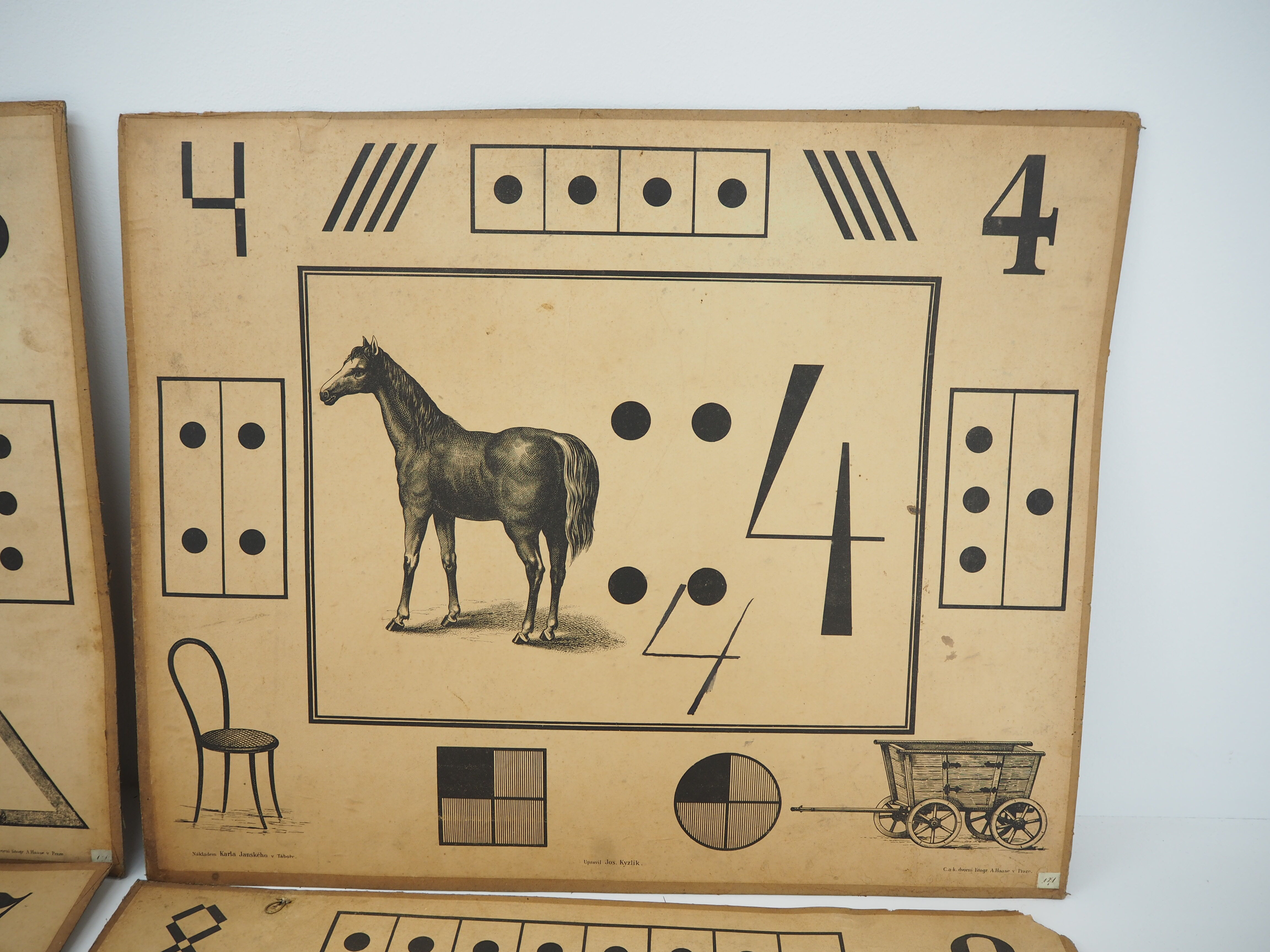 Set Of Nine Antique Teaching Posters from Litography A. Haase, Prague, 1900s