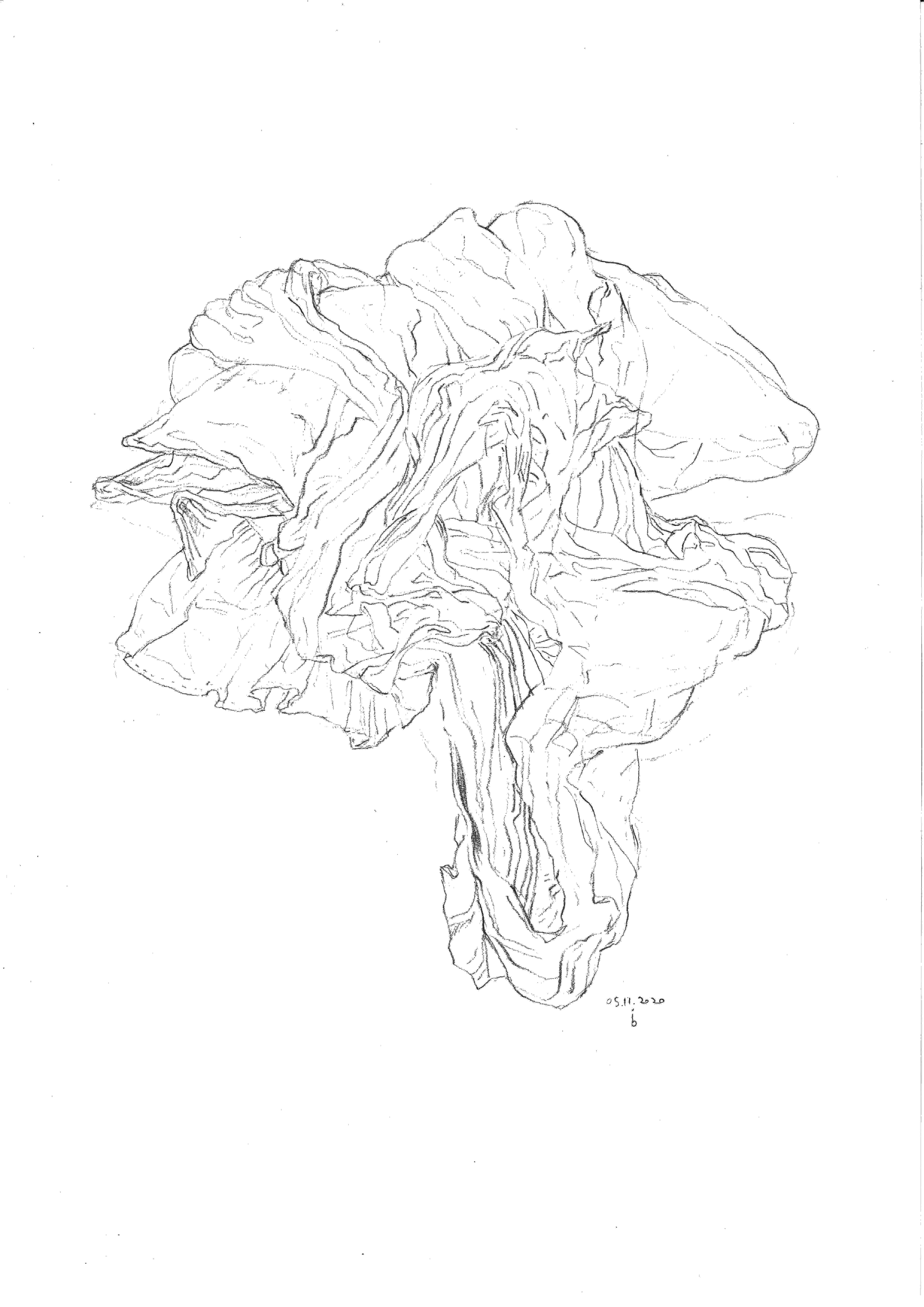 Drapé - original drawing signed