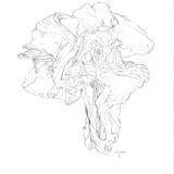 Drapé - original drawing signed