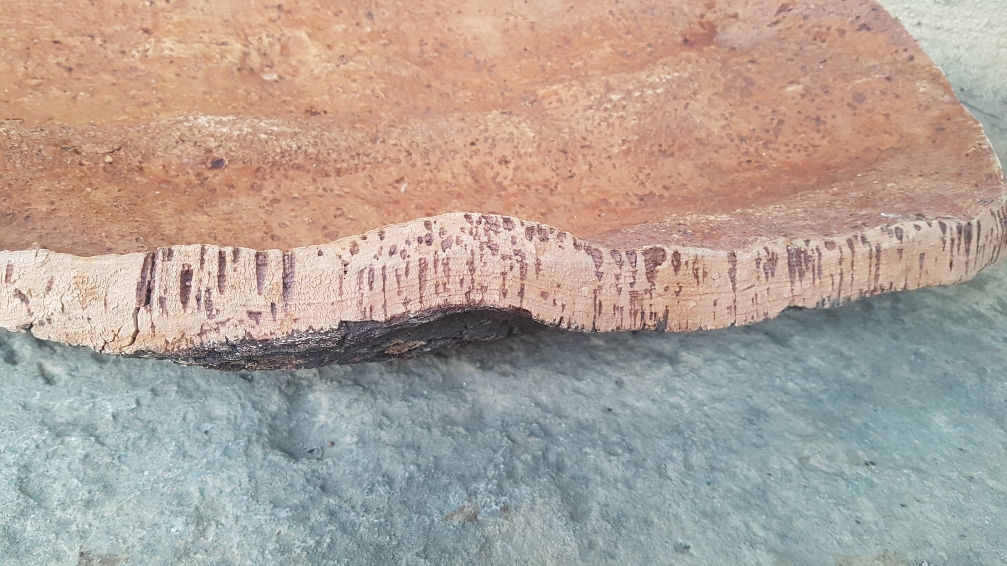 Cork oak bark dish