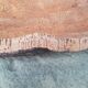Cork oak bark dish
