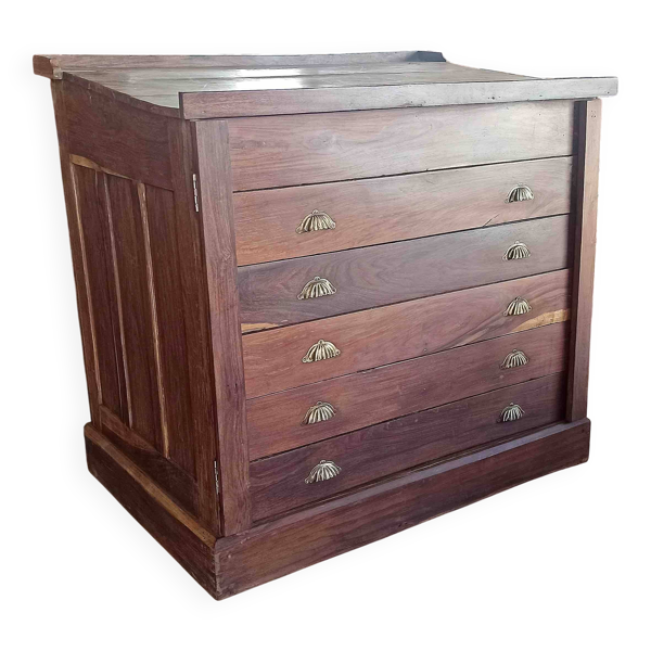 Meuble à cartes Compagnie des Indes anglaises 19e siècle Largeur 122 cm