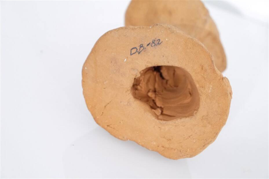 Terracotta bust of a woman 1970