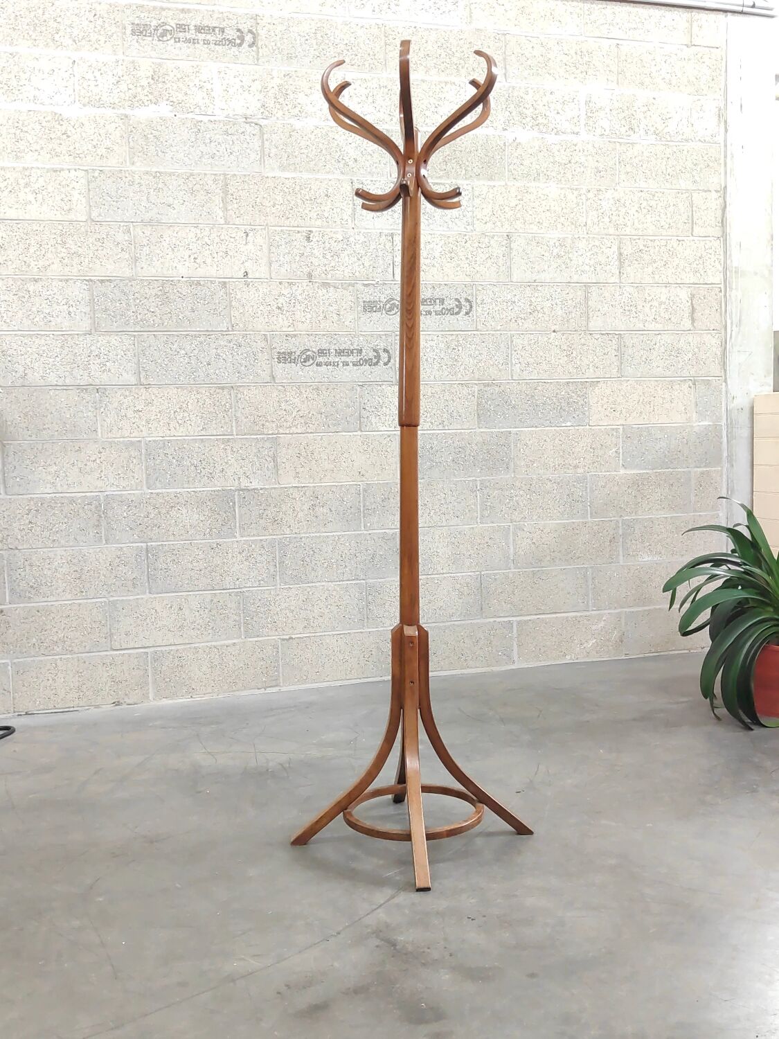 Baumann beech coat rack