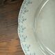 Flat plates ironstone Orchies Cérès