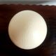 Ostrich egg with swan feet in bronze, Napoleon III