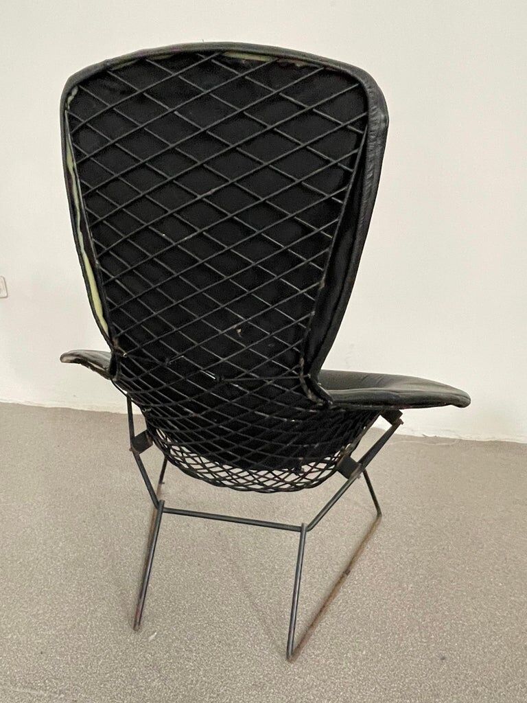 Bird Chair Harry Bertoia for Knoll Black