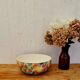 Salins les Bains barbotine salad bowl