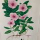 Pink frame botanical board