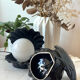 Black ceramic shell lamp