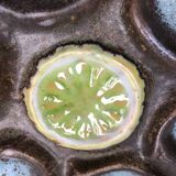Vallauris ceramic oyster plates circa 1960 x8
