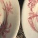 6 vintage plates giens views of pink orient Shabby