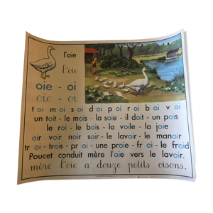 Tableau de lecture Rossignol recto
