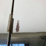 Scandinavian round triptych mirror, teak frame, 1960s.