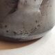 Pitcher sandstone pyrity robert deblander (1924-2010)