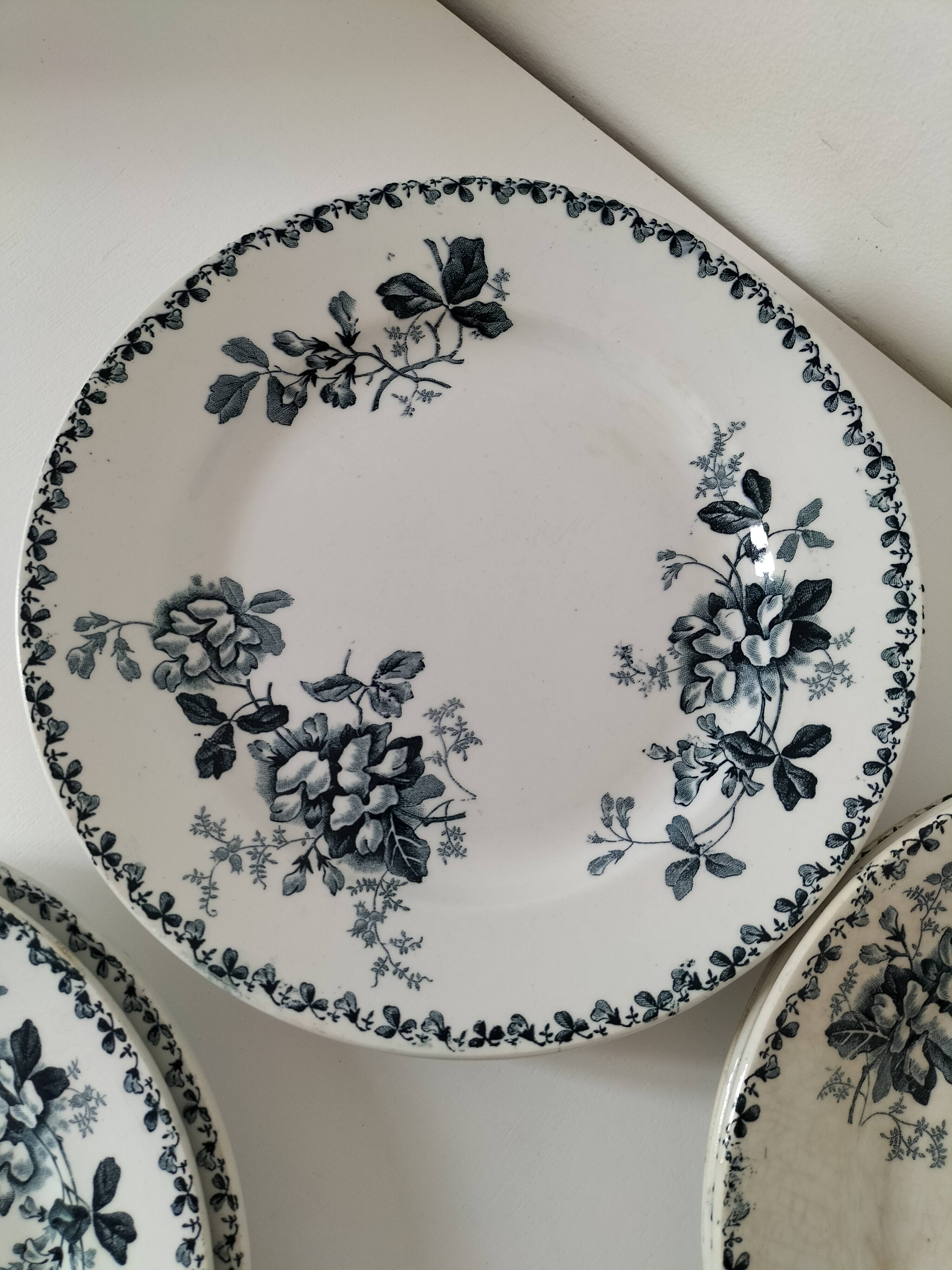 Set of 10 ironstone plates Moulin des Loups Acacia